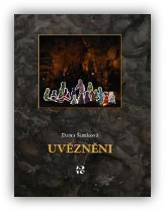 obrazek-10-uvezneni.jpg